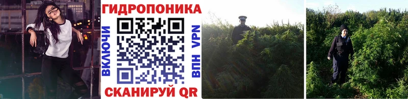 Купить наркотики Курчалой Гашиш  МАРИХУАНА  Амфетамин  Героин  Псилоцибиновые грибы  COCAIN  Мефедрон 