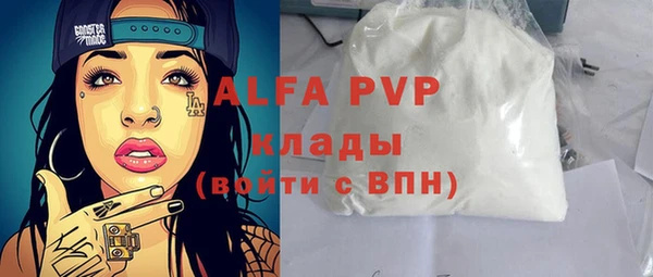 стаф Алзамай
