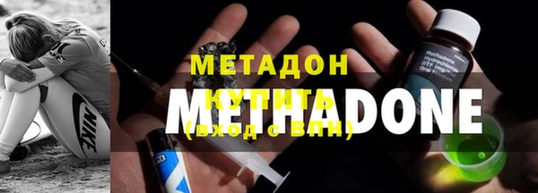 стаф Алзамай