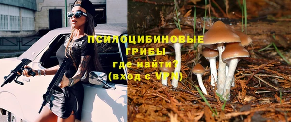 spice Алексеевка
