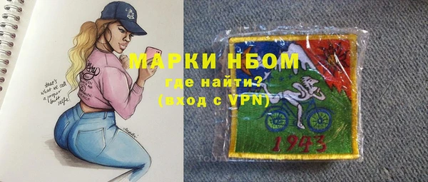 стаф Алзамай