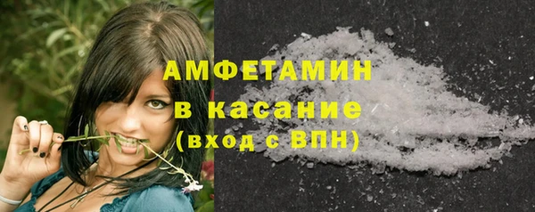 стаф Алзамай
