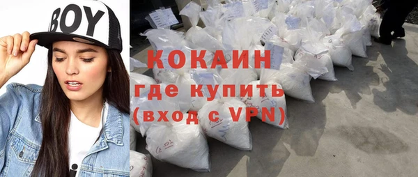 стаф Алзамай