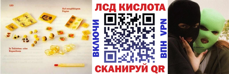 кракен как зайти  Курчалой  Лсд 25 экстази ecstasy  площадка телеграм  купить наркотики цена 