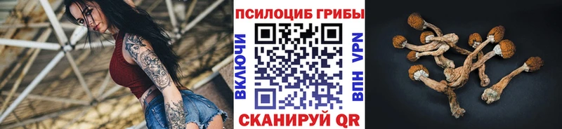 Псилоцибиновые грибы мицелий  Курчалой 