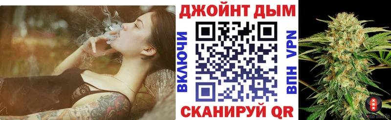 наркота  Курчалой  Конопля марихуана 